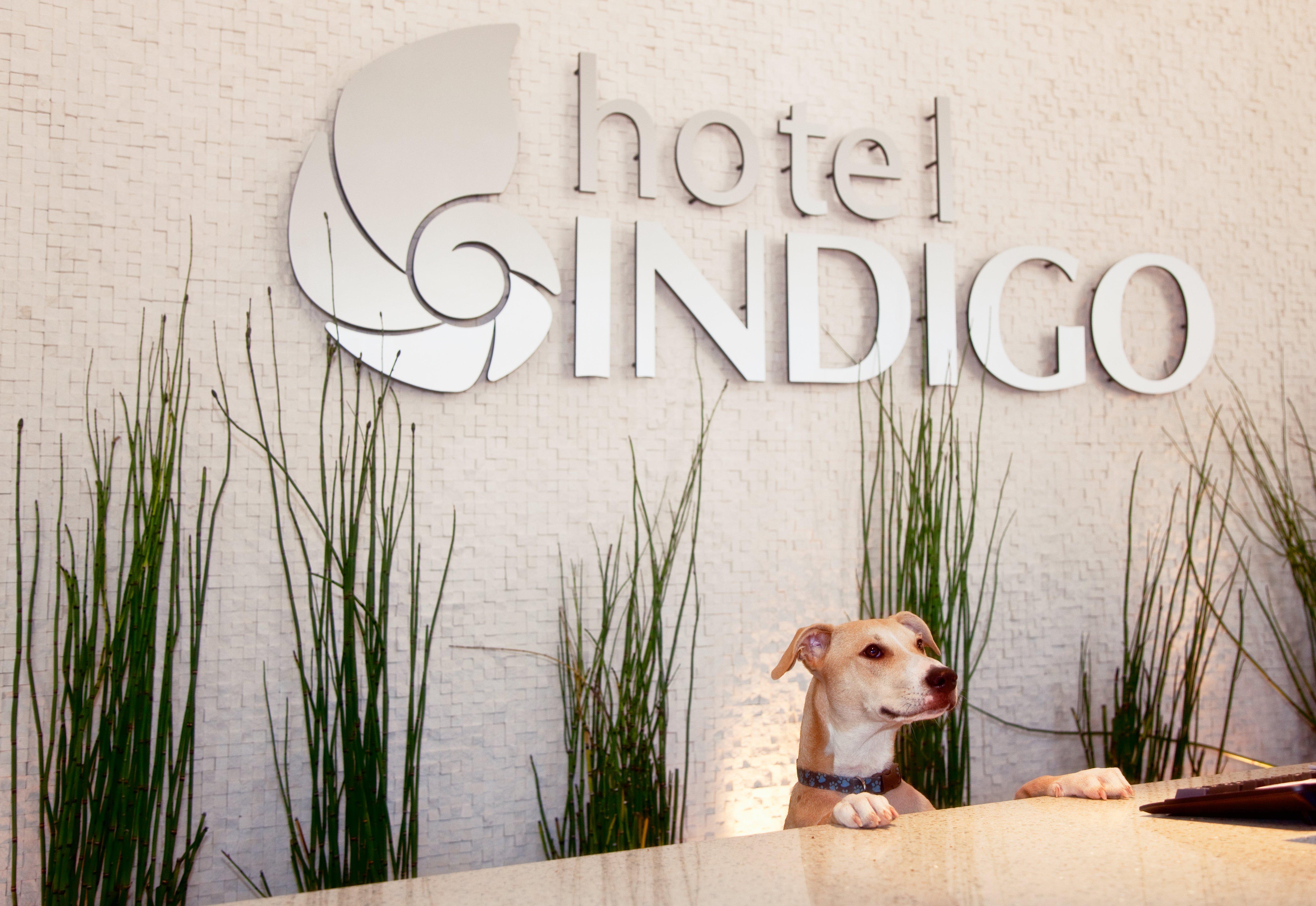 Hotel Indigo San Diego - Gaslamp Quarter By Ihg Ngoại thất bức ảnh